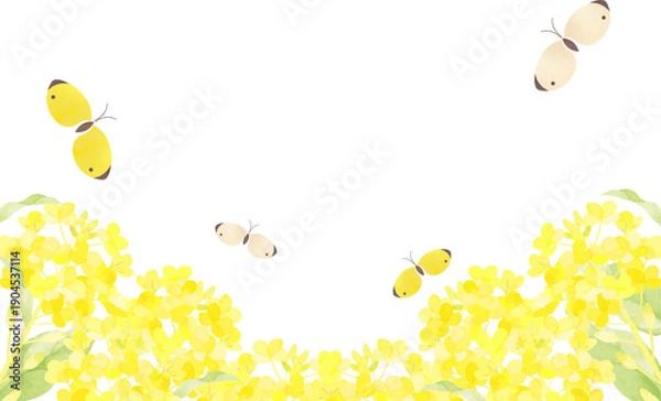 Obraz 菜の花畑と蝶の春のフレーム