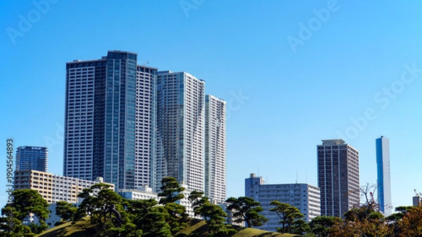 Obraz 松の木が植えられた和風庭園の向こう側にそびえ立つ高層タワーマンション群