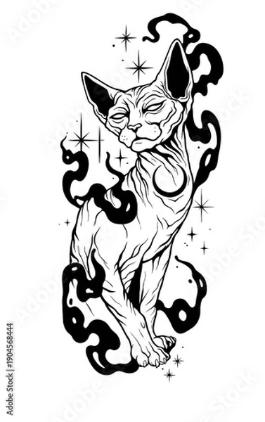 Fototapeta black cat on a white background vector