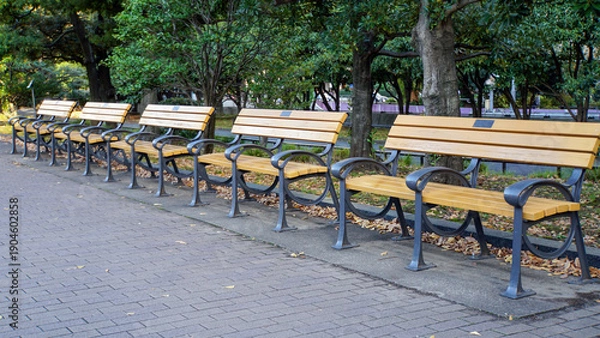 Obraz 落ち葉が散らばる冬の公園の歩道脇に一列に並ぶベンチ