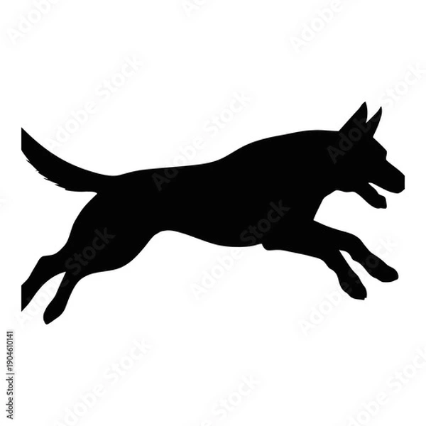 Obraz Empty White Background for Design and Photography Projects