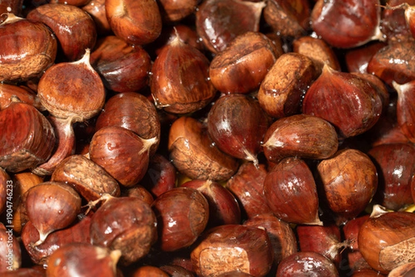 Obraz Raw chestnuts washed before cooking