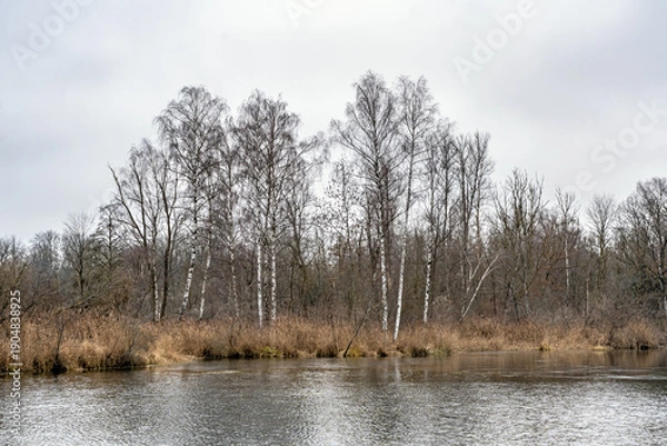Obraz Naturseen Nersingen