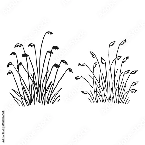Obraz Set tufts greenery. Hand drawn vector illustration.