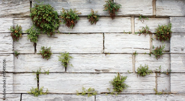 Obraz Old White Stone Wall Closeup.