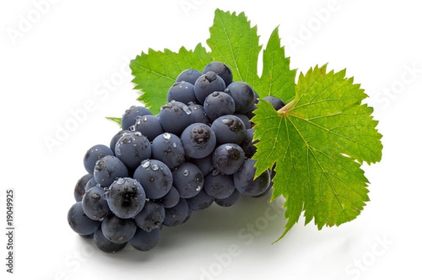 Obraz winogrono