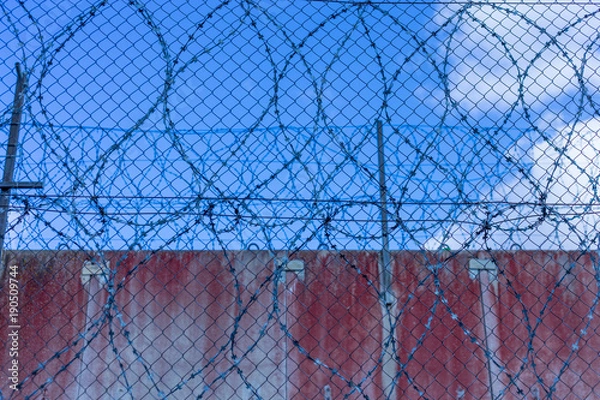 Fototapeta Roll of razor wire on concrete wall. Barbed wire on the wall. Prison wall against blue sky