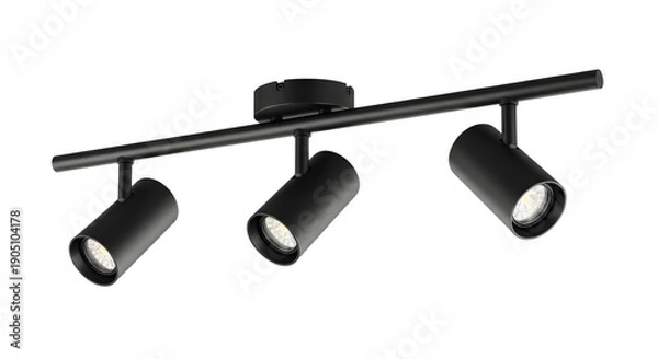 Obraz Modern Black Track Lighting Fixture