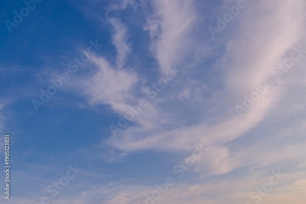 Obraz 青空を這う