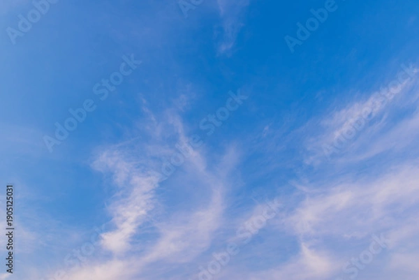 Obraz 青空に漂う