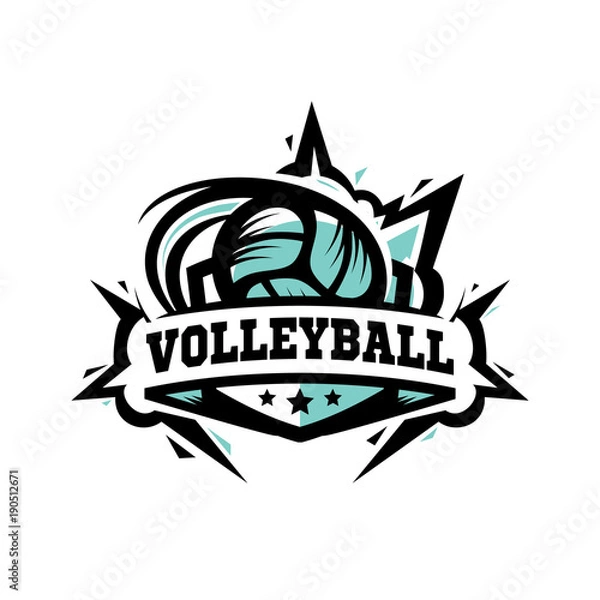 Obraz Swoosh Volley Ball Logo
