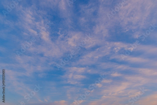 Obraz 線描く夕雲