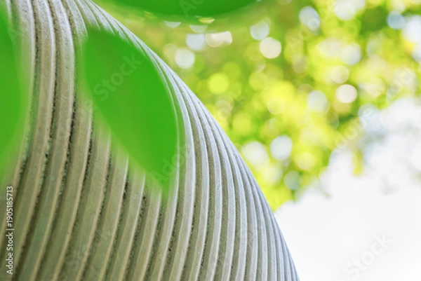 Obraz 光が差し込む緑の葉と曲線のテクスチャ