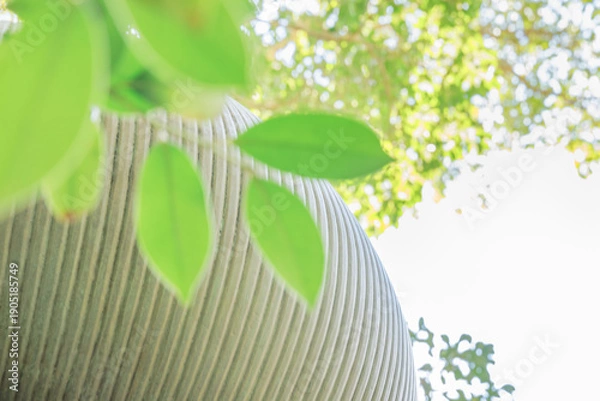 Obraz 光が差し込む緑の葉と曲線のテクスチャ