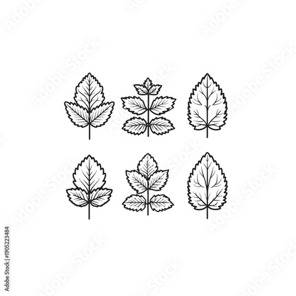 Obraz Adobe Illustrator Artwork