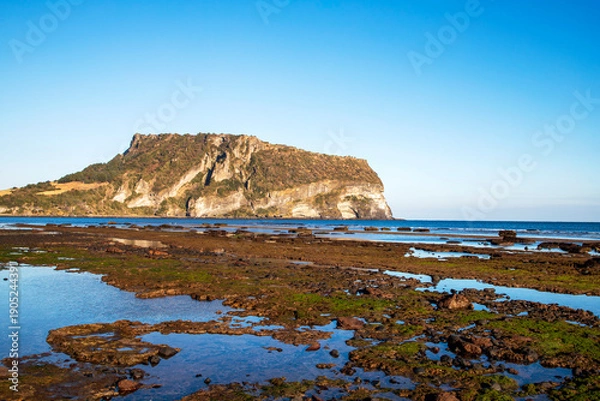 Obraz 제주 광치기해변