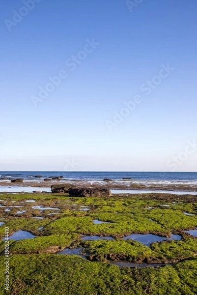 Obraz 제주 광치기해변