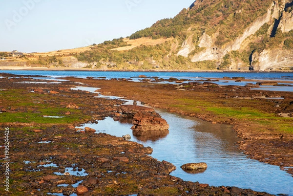 Obraz 제주 광치기해변