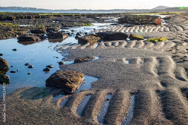 Obraz 제주 광치기해변