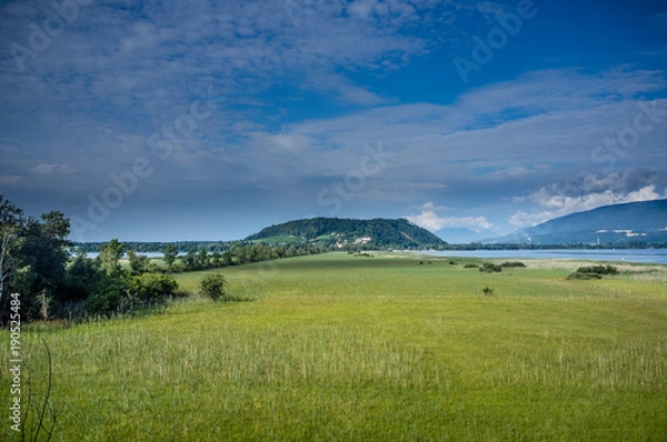 Obraz Feld