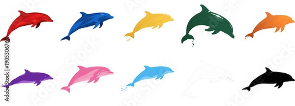 Obraz イルカ　動物　生き物　イラスト