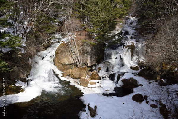 Obraz 冬の竜頭の滝