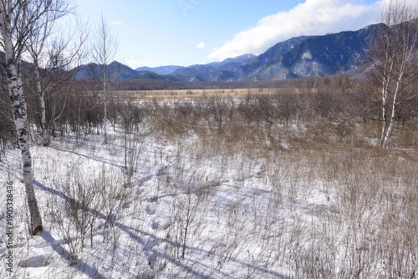 Obraz 冬の戦場ヶ原