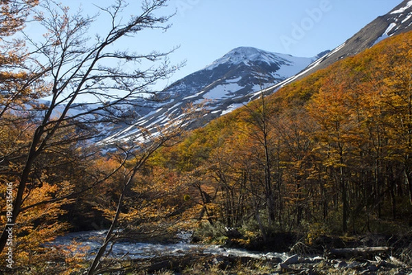Obraz 【チリ】トーレス・デル・パイネ国立公園