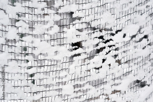 Obraz ネットに付着した雪の模様