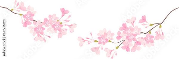 Obraz 優しい雰囲気の桜の枝のイラスト