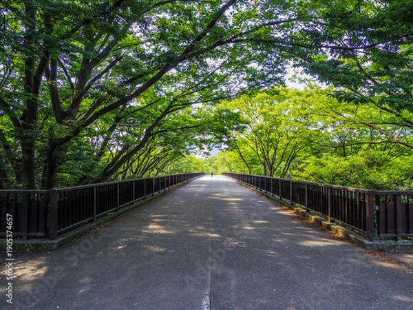 Obraz 【東京都】代々木公園