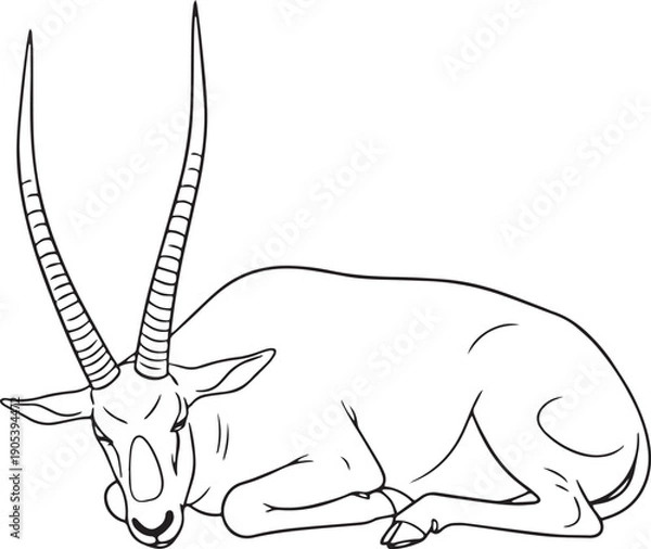 Obraz Addax