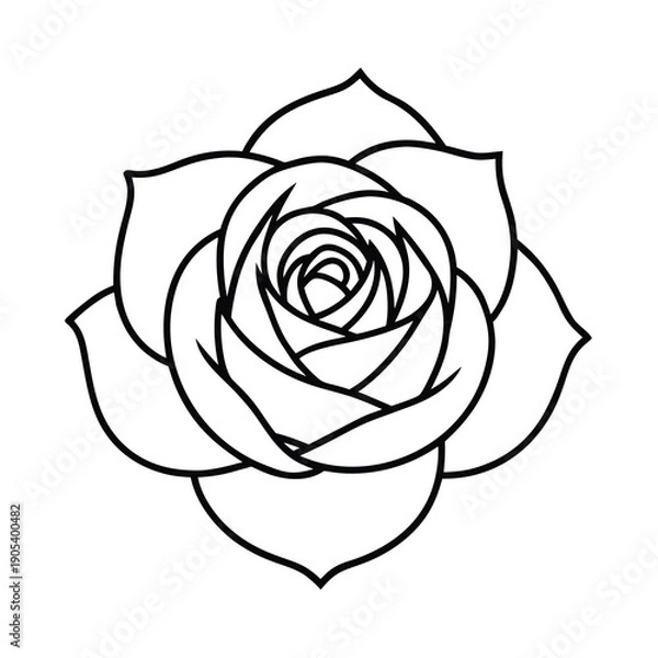 Obraz nature rose icon