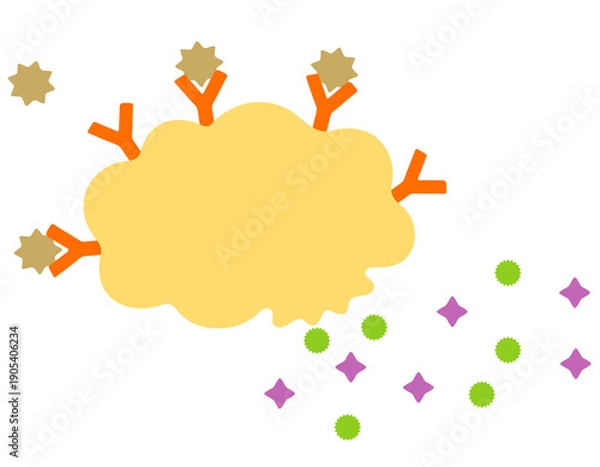 Obraz ヒスタミンを放出する肥満細胞　アレルギーのしくみ