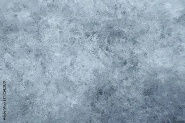 Obraz 雪（マクロ撮影）