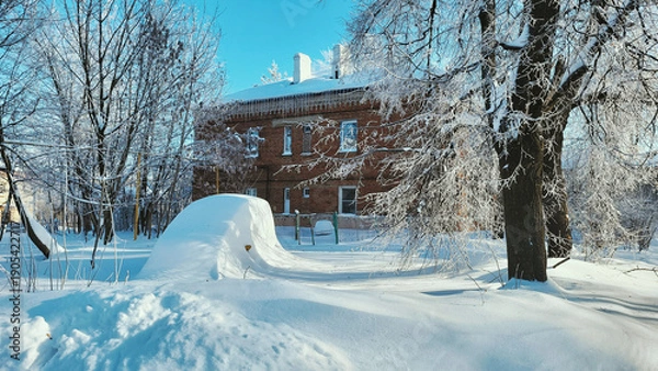 Obraz snow covered trees