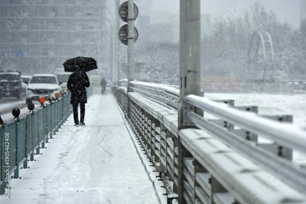 Obraz 雪の日に橋を渡り通勤する人