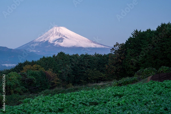 Obraz 日本の象徴・富士山の写真画像