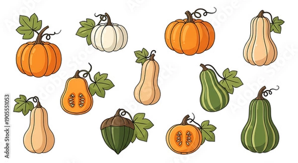 Obraz Various Pumpkins and Gourds on White Background