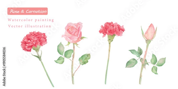 Obraz カーネーションとバラの水彩ボタニカルベクターイラストセット