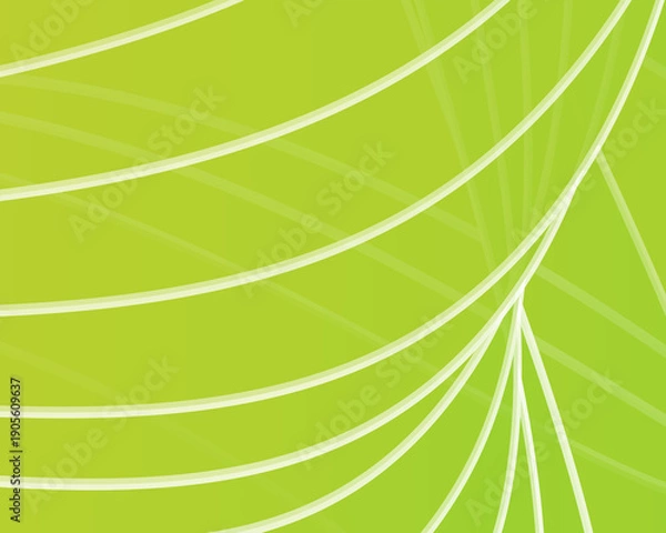 Fototapeta green background with stripes perfect background composition