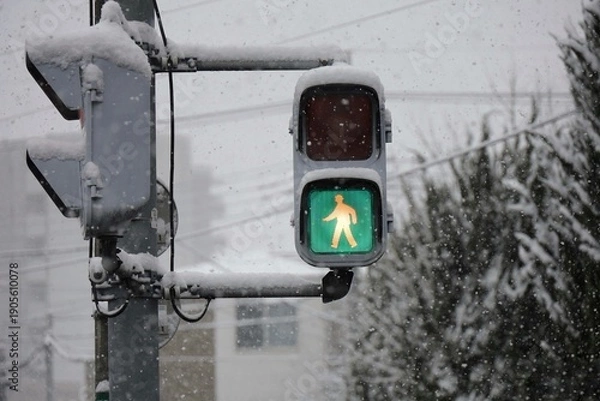 Obraz 雪の日の歩行者信号