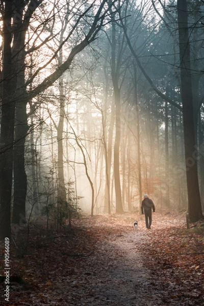 Obraz Man with a dog are illuminated in the forest by the sunbeams of the rising sun, the rays magically shine through the damp early fog.