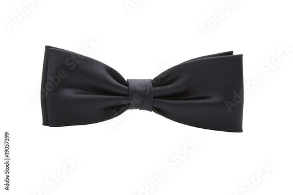 Fototapeta Schwarze Fliege