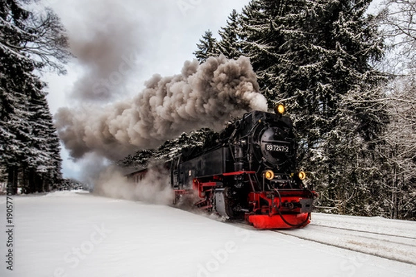 Fototapeta Steam train on the way to Brocken through winter landscape