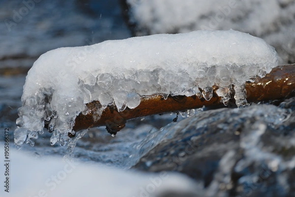 Obraz snow on the branches