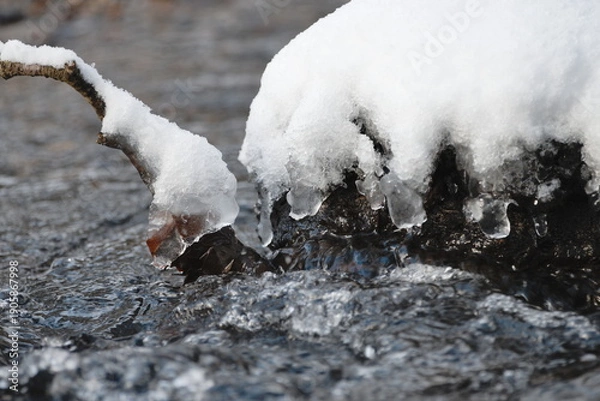 Obraz snow on the branches