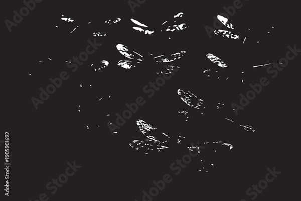 Obraz Ten Dragonflies Grunge Texture Scene