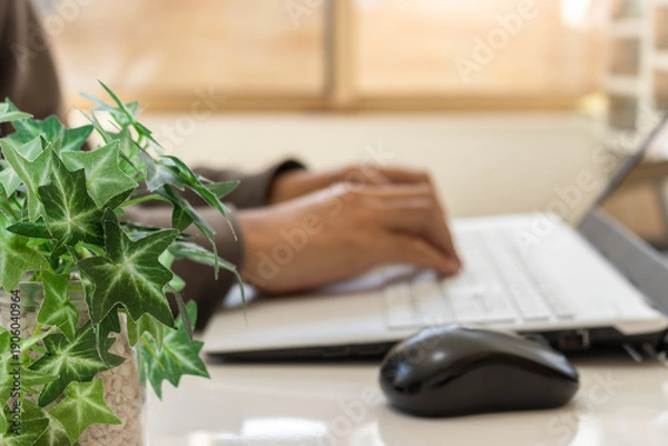 Obraz 窓際の明るい室内でテレワークをする男性のイメージ（手前の植物にピント、顔無し）