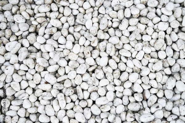 Obraz 庭の白い丸石